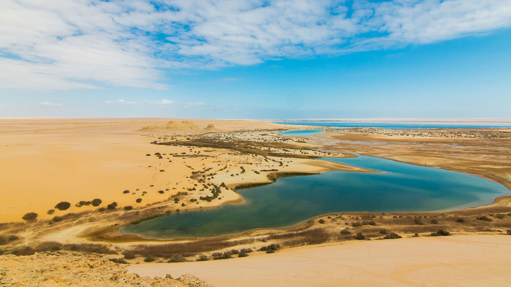 Fayoum Oasis Adventure 4WD Desert Safari with Traditional Lunch